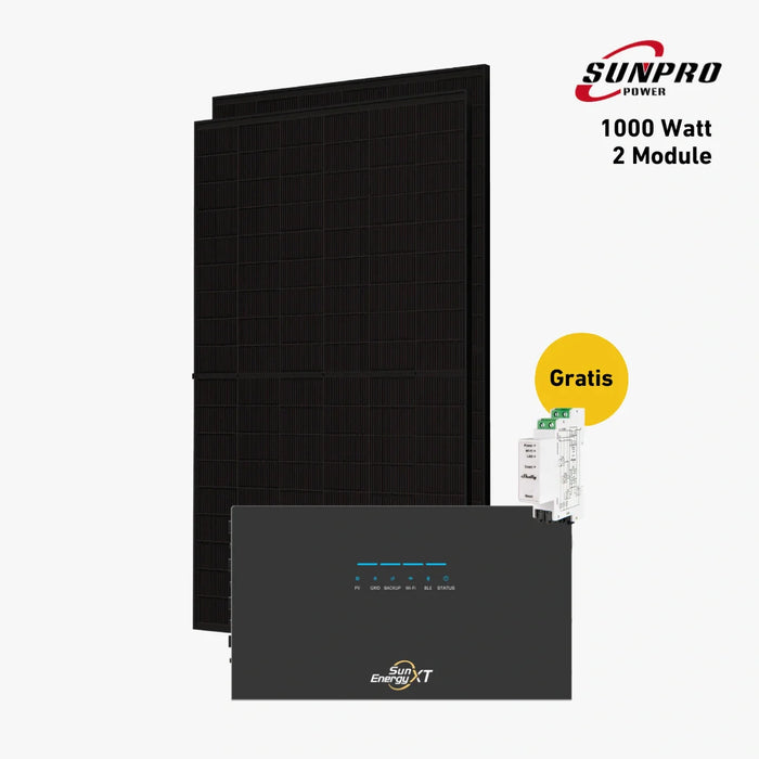 1000W Bifaziales Solarsystem mit SunEnergyXT 500 Pro Speicher