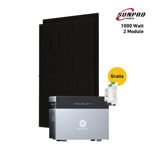 Max 1000W Bifacial Solar System with Hoymiles HiBattery 4020 X Storage