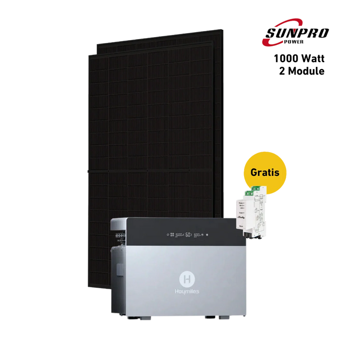 1000W Bifaziales Balkonkraftwerk mit Hoymiles HiBattery 4020X Speicher